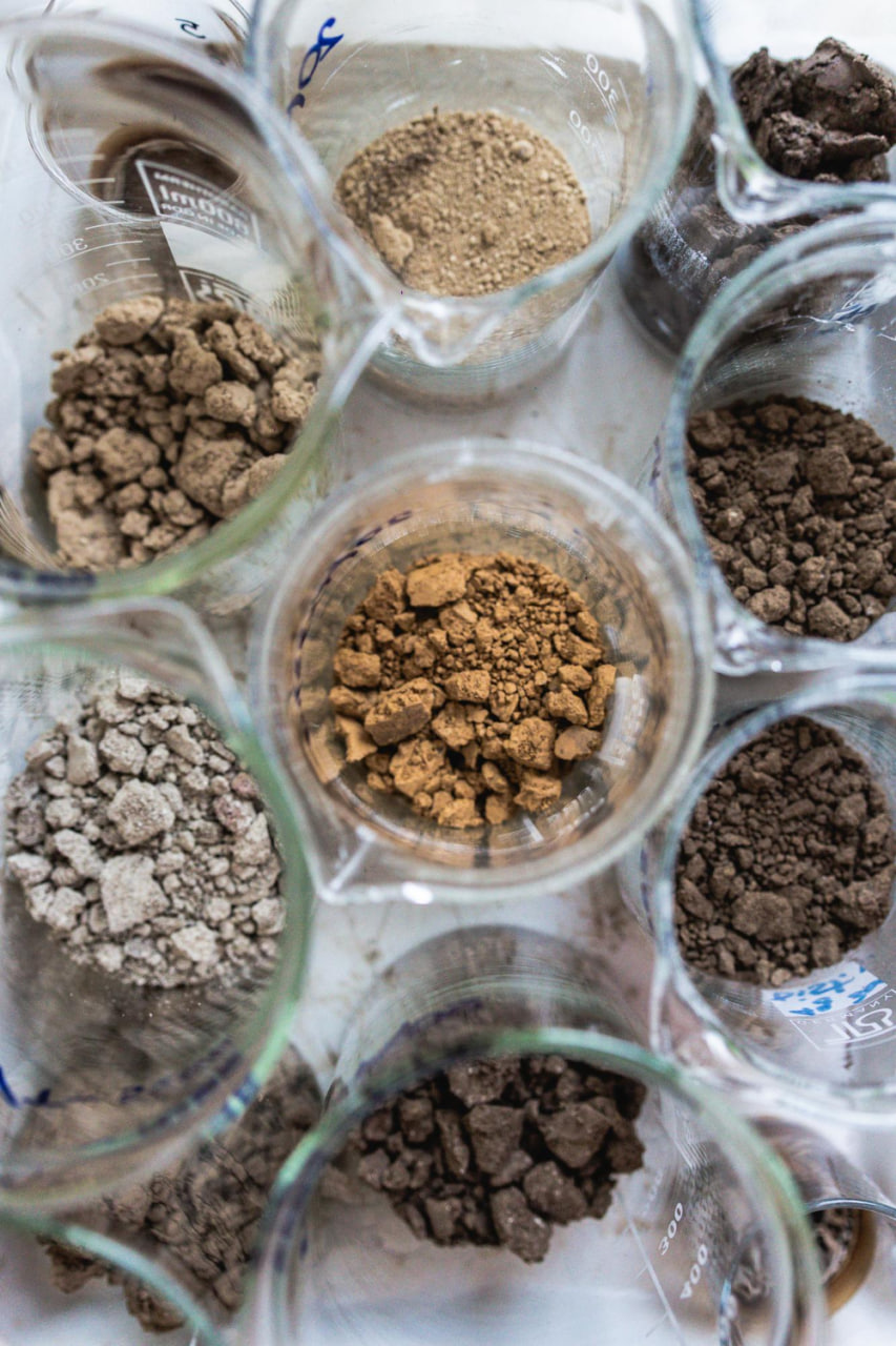 Как определить содержание лития в почве и его влияние на растения