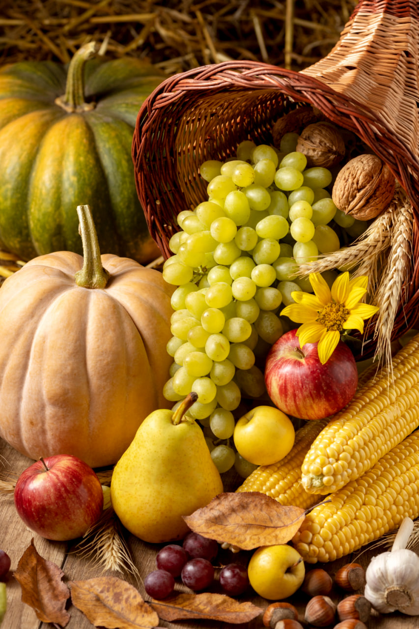 Кейс: как анализ почвы увеличил урожайность на 30%