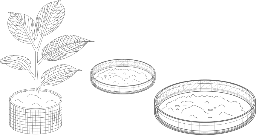 Анализ почвы