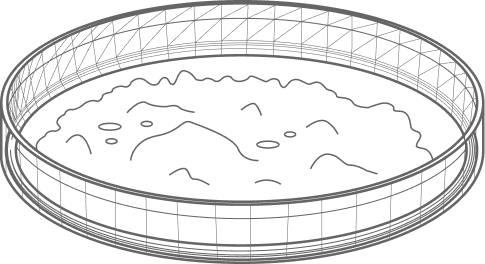 Объекты анализа Почвы