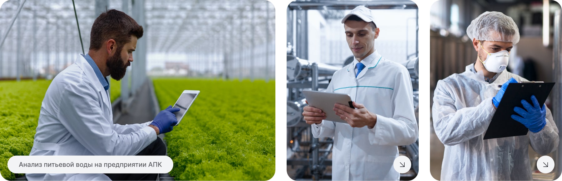 Анализ почвы